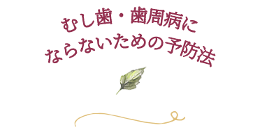 むし歯・歯周病にならないための予防法